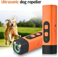 Archie Training Device